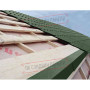 Планка карнизная 100х69х2000 PURETAN-RR11-0.5