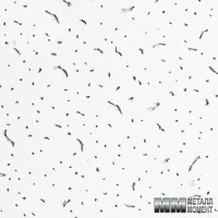 Подвесные потолки Армстронг "BERLIN" Подвесные потолки Армстронг "BERLIN"