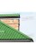 Profnastil MP35-1035 Norman RAL-6018-0.5