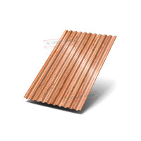 Profillangan varaq C21x1000 ECOSTEEL_T-Sidr-0.5