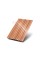 Профилланган варақ C21х1000 ECOSTEEL_T-Сидр-0.5