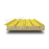 Tom uchun mineral paxta sendvich panellar 100 RAL 1018