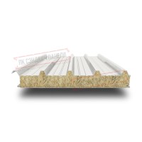 Tom uchun mineral paxta sendvich panellar 120 RAL 9010