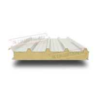 Tom uchun PPU sendvich panellar 100 RAL 9002