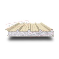 Tom uchun PPS sendvich panellar 200 RAL 1015