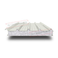 Кровельные сэндвич панели с ППС 150 RAL 9002 серо-белый