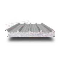 Tom uchun PPS sendvich panellar 60 RAL 9006