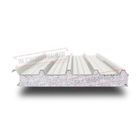 Tom uchun PPS sendvich panellar 200 RAL 9010