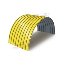 Profnastil MP20PG-0.45, Eni-1100, Poliester RAL1018