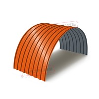 Profnastil MP20PG-0.45, Eni-1100, Poliester RAL2004